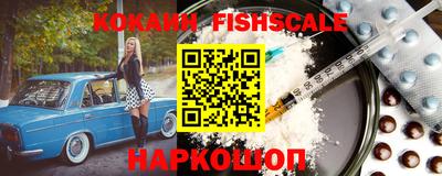 крисы Кулебаки