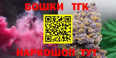 крисы Кулебаки