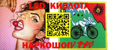 индика Кунгур