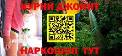 крисы Кулебаки