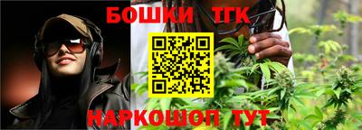 крисы Кулебаки