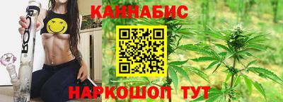 гашик Будённовск