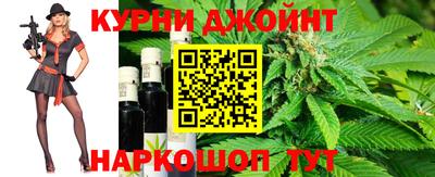 крисы Кулебаки