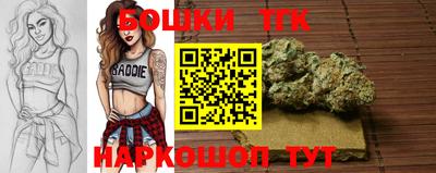 гашик Будённовск