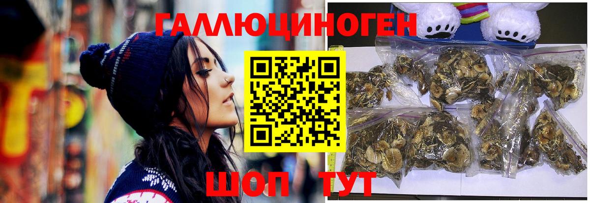 Галлюциногенные грибы GOLDEN TEACHER  Вход с VPN  Можга 