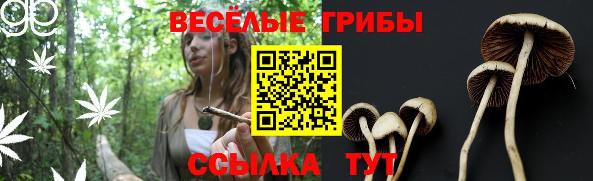 Галлюциногенные грибы Magic Shrooms  Можга 