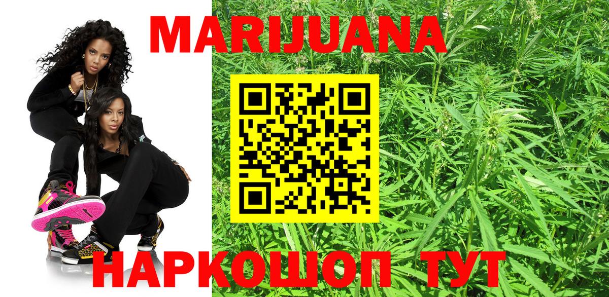 Канабис гибрид  Можга  Канабис конопля 